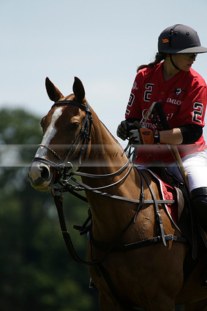 Maiz Dulce v Emlor in a Barrett Cup Polo match 2013.06.30