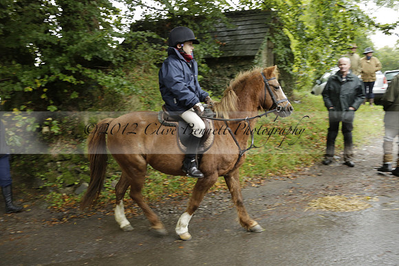 Devon & Somerset Stag Hounds meet at Liscombe on Saturday 12 October 2013 2013.10.12 www.polopictures.co.uk