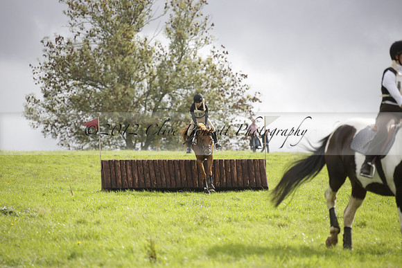 Chiddingfold, Leconfield and Cowdray Hunt, Hunter Trials at Iping on Sunday 20 October 2013. 2013.10.20 www.polopictures.co.uk