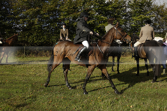 Devon & Somerset StagHounds meet at Five Cross Ways on Thursday 17 October 2013. 2013.10.17 www.polopictures.co.uk