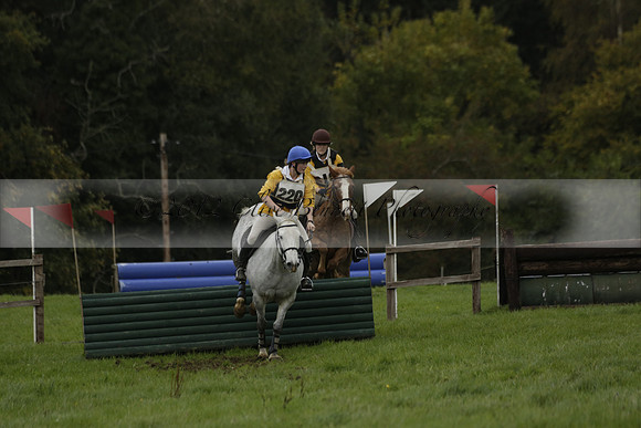 Chiddingfold, Leconfield and Cowdray Hunt, Hunter Trials at Iping on Sunday 20 October 2013. 2013.10.20 www.polopictures.co.uk