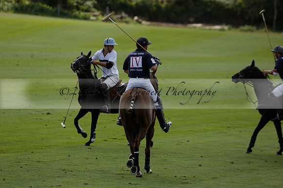 Pandas (white) v Home Farm (navy) in a Park House West Sussex Cup Polo match on Brooksfield at Cowdray Park Polo Club on Friday 30 August 2013. 2013.08.30 www.polopictures.co.uk