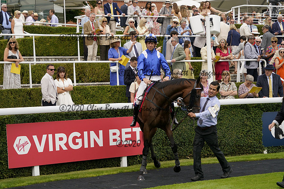 _CAB3139