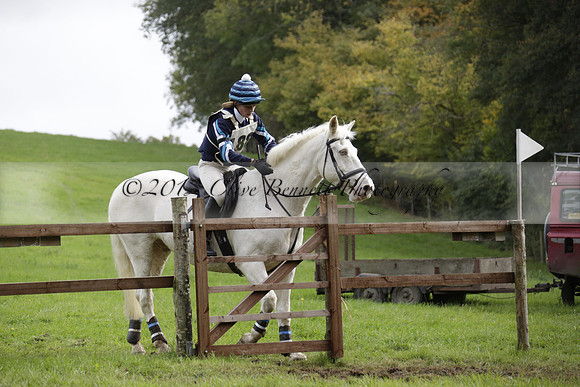 Chiddingfold, Leconfield and Cowdray Hunt, Hunter Trials at Iping on Sunday 20 October 2013. 2013.10.20 www.polopictures.co.uk