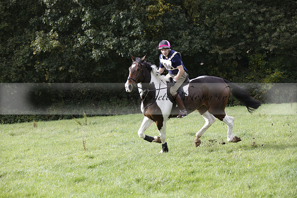 Chiddingfold, Leconfield and Cowdray Hunt, Hunter Trials at Iping on Sunday 20 October 2013. 2013.10.20 www.polopictures.co.uk