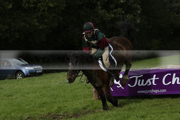 Chiddingfold, Leconfield and Cowdray Hunt, Hunter Trials at Iping on Sunday 20 October 2013. 2013.10.20 www.polopictures.co.uk