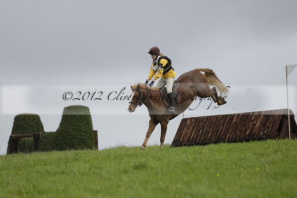 Chiddingfold, Leconfield and Cowdray Hunt, Hunter Trials at Iping on Sunday 20 October 2013. 2013.10.20 www.polopictures.co.uk