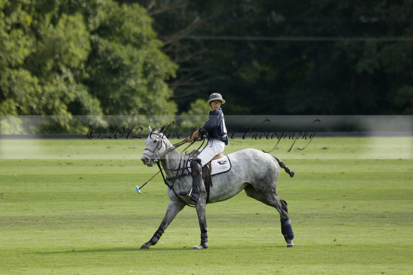 Pandas (white) v Home Farm (navy) in a Park House West Sussex Cup Polo match on Brooksfield at Cowdray Park Polo Club on Friday 30 August 2013. 2013.08.30 www.polopictures.co.uk