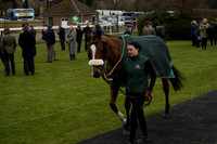 Race 4 The Betgoodwin Best Odds Guaranteed Handicap Hurdle Race 2025.03.17