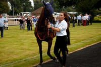 Race 1 The Closewood Air Conditioning Handicap Hurdle Race 2016.08.18