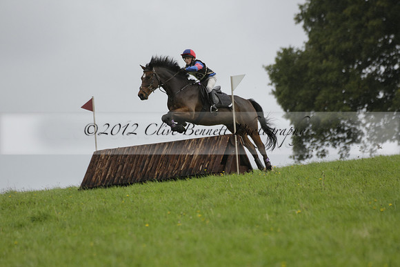 Chiddingfold, Leconfield and Cowdray Hunt, Hunter Trials at Iping on Sunday 20 October 2013. 2013.10.20 www.polopictures.co.uk