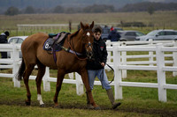 _CAB8231