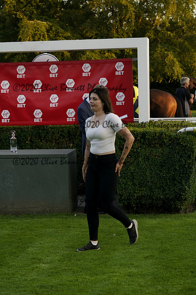 _CAB1393