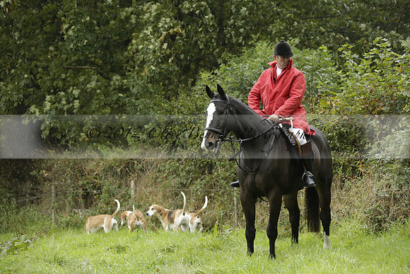 Devon & Somerset Stag Hounds meet at Liscombe on Saturday 12 October 2013 2013.10.12 www.polopictures.co.uk