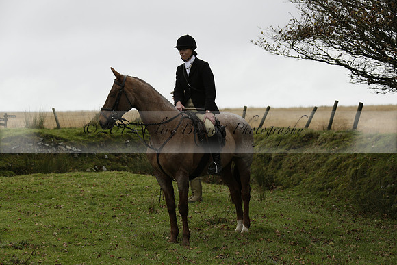 Devon & Somerset Staghounds meet at Larkbarrow Corner. North Devon. 2013.10.18 www.polopictures.co.uk