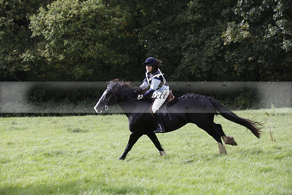 Chiddingfold, Leconfield and Cowdray Hunt, Hunter Trials at Iping on Sunday 20 October 2013. 2013.10.20 www.polopictures.co.uk
