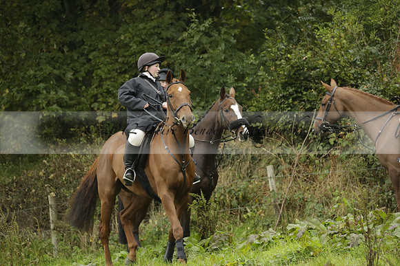 Devon & Somerset Stag Hounds meet at Liscombe on Saturday 12 October 2013 2013.10.12 www.polopictures.co.uk