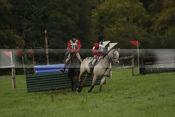 Chiddingfold, Leconfield and Cowdray Hunt, Hunter Trials at Iping on Sunday 20 October 2013. 2013.10.20 www.polopictures.co.uk
