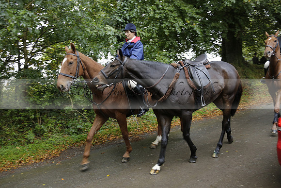 Devon & Somerset Stag Hounds meet at Liscombe on Saturday 12 October 2013 2013.10.12 www.polopictures.co.uk