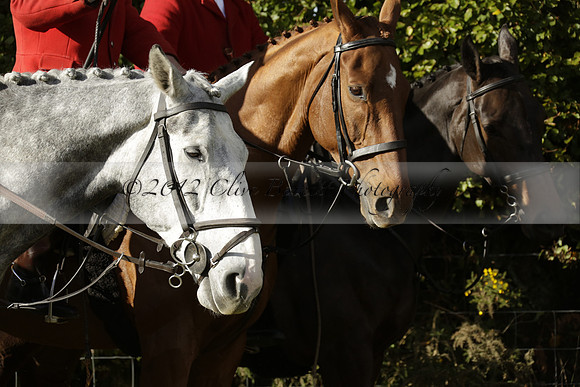 Devon & Somerset StagHounds meet at Five Cross Ways on Thursday 17 October 2013. 2013.10.17 www.polopictures.co.uk