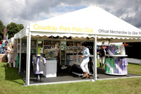 at the Veuve Clicquot Gold Cup Final Cowdray Park Polo Club on Sunday July 2012