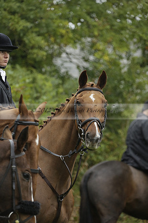 Devon & Somerset Stag Hounds meet at Liscombe on Saturday 12 October 2013 2013.10.12 www.polopictures.co.uk