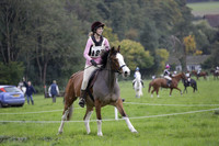 Chiddingfold, Leconfield and Cowdray Hunt, Hunter Trials at Iping on Sunday 20 October 2013. 2013.10.20 www.polopictures.co.uk