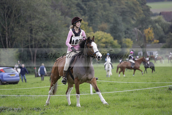 Chiddingfold, Leconfield and Cowdray Hunt, Hunter Trials at Iping on Sunday 20 October 2013. 2013.10.20 www.polopictures.co.uk