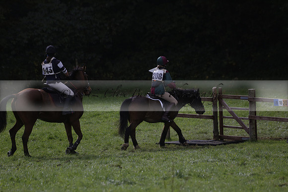 Chiddingfold, Leconfield and Cowdray Hunt, Hunter Trials at Iping on Sunday 20 October 2013. 2013.10.20 www.polopictures.co.uk