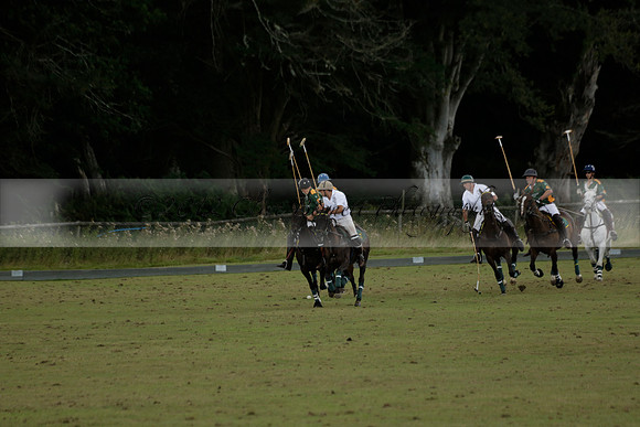 The Blue Jackets Cup polo match played between Maize Dulce (green) vs Home Farm (white) At the New Forest Polo Club on Sunday 18 August 2013