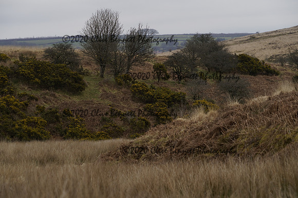 _CAB1298