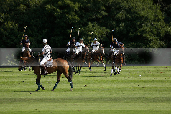 Pandas (white) v Home Farm (navy) in a Park House West Sussex Cup Polo match on Brooksfield at Cowdray Park Polo Club on Friday 30 August 2013. 2013.08.30 www.polopictures.co.uk