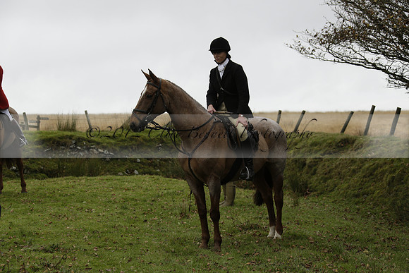 Devon & Somerset Staghounds meet at Larkbarrow Corner. North Devon. 2013.10.18 www.polopictures.co.uk