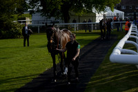 Race 2 The All In Or All Out Handicap Steeple Chase 2025.04.25