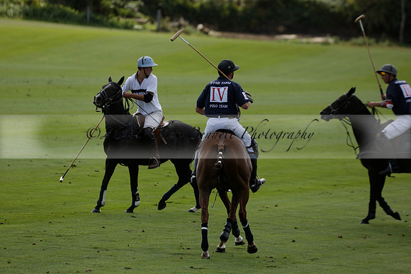 Pandas (white) v Home Farm (navy) in a Park House West Sussex Cup Polo match on Brooksfield at Cowdray Park Polo Club on Friday 30 August 2013. 2013.08.30 www.polopictures.co.uk