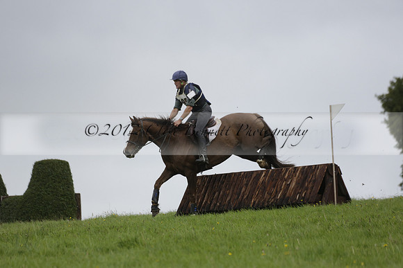 Chiddingfold, Leconfield and Cowdray Hunt, Hunter Trials at Iping on Sunday 20 October 2013. 2013.10.20 www.polopictures.co.uk