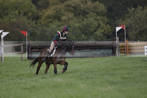 Chiddingfold, Leconfield and Cowdray Hunt, Hunter Trials at Iping on Sunday 20 October 2013. 2013.10.20 www.polopictures.co.uk