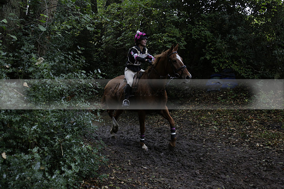 Chiddingfold, Leconfield and Cowdray Hunt, Hunter Trials at Iping on Sunday 20 October 2013. 2013.10.20 www.polopictures.co.uk
