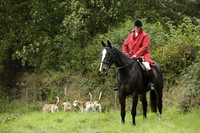 Devon & Somerset Stag Hounds meet at Liscombe on Saturday 12 October 2013 2013.10.12 www.polopictures.co.uk