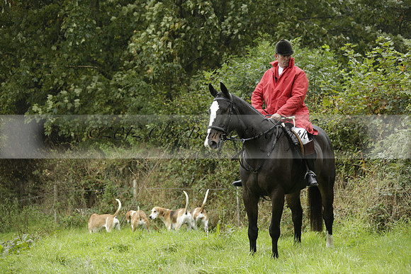 Devon & Somerset Stag Hounds meet at Liscombe on Saturday 12 October 2013 2013.10.12 www.polopictures.co.uk