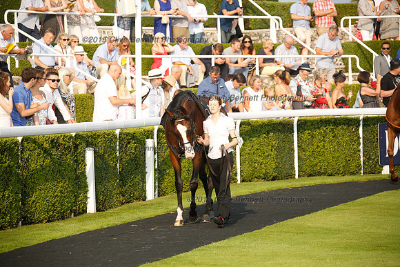 _CB_6078