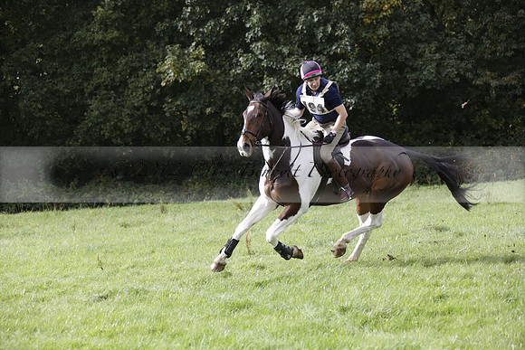 Chiddingfold, Leconfield and Cowdray Hunt, Hunter Trials at Iping on Sunday 20 October 2013. 2013.10.20 www.polopictures.co.uk