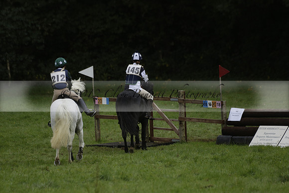 Chiddingfold, Leconfield and Cowdray Hunt, Hunter Trials at Iping on Sunday 20 October 2013. 2013.10.20 www.polopictures.co.uk