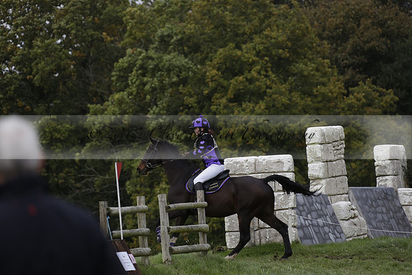 Chiddingfold, Leconfield and Cowdray Hunt, Hunter Trials at Iping on Sunday 20 October 2013. 2013.10.20 www.polopictures.co.uk