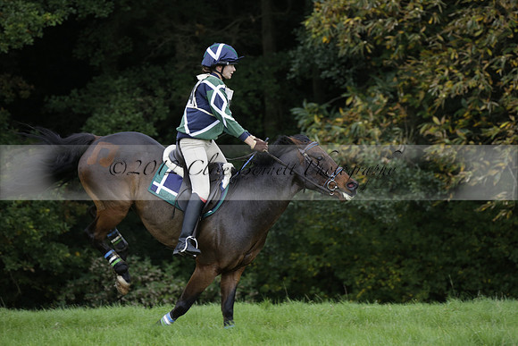 Chiddingfold, Leconfield and Cowdray Hunt, Hunter Trials at Iping on Sunday 20 October 2013. 2013.10.20 www.polopictures.co.uk