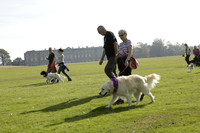 Canine Partners at the National Trust's Spot the Spaniel Day 2014.09.28