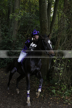 Chiddingfold, Leconfield and Cowdray Hunt, Hunter Trials at Iping on Sunday 20 October 2013. 2013.10.20 www.polopictures.co.uk