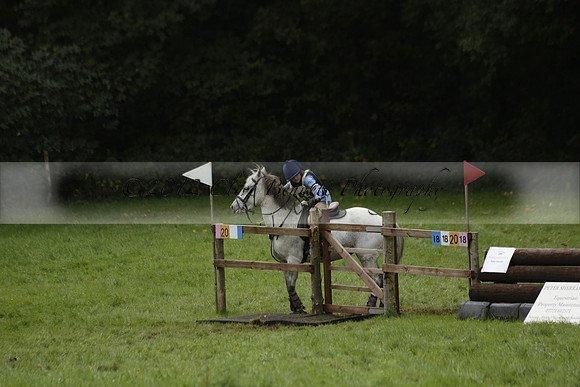 Chiddingfold, Leconfield and Cowdray Hunt, Hunter Trials at Iping on Sunday 20 October 2013. 2013.10.20 www.polopictures.co.uk