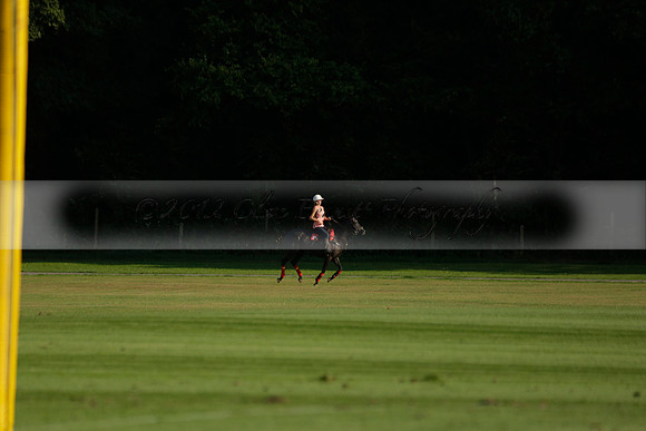 Pluma Negra (white) v Shoreline (black) in the Brecknock Cup Subsidiary final polo match played on Sunday 25 August 2013 at Cowdray Park Polo Club on Ambersham 1. 2013.10.12 www.polopictures.co.uk
