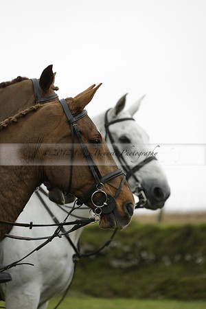 Devon & Somerset Staghounds meet at Larkbarrow Corner. North Devon. 2013.10.18 www.polopictures.co.uk
